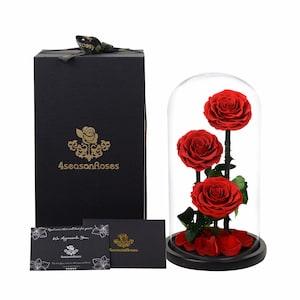 Preserved Rose in Glass Dome Beauty and The Beast Rose Handmade Gift for Mom Wife Girlfriend Valentine's Day Birthday Anniversary 3 Red Rose