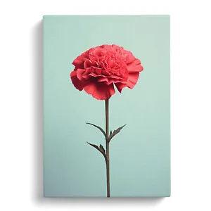 Carnation Flower Minimalism Canvas Print Wall Art Framed Decor Picture Large
