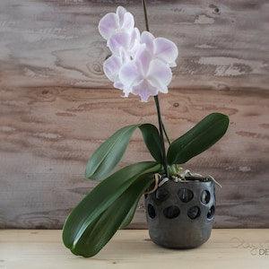 Handmade black ceramic decorative planter. Black pottery pot with decorative holes. Especially suitable for Moth orchids. Nordic minimalist.