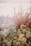 Thrifted Wedding in Ontario Flower Delivery