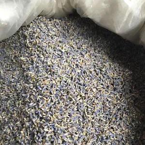 DRIED LAVENDER FLOWERS
