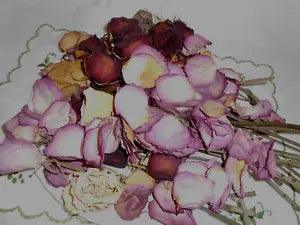 Dried ROSES * DRIED Roses and Petals for Crafts etc.