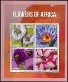 Ghana Flowers of Africa Stamps 2016 MNH Arum Blue Water Impala Lily Flora 4v M/S