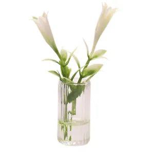 1:6 Dollhouse Miniatures Glass Vase Lily Flowers Bottle Modern Accessories