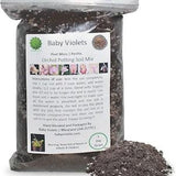 1qt - 4 dry quarts | Orchid Plant Soil | Container Gardening Mix | Peat Moss Perlite Potting Mix | Hand Blended in USA | New