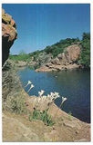 RAIN LILIES White Lily Flowers On The Banks of TEXAS LAKES Postcard TX
