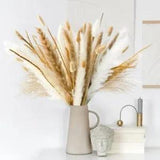 120 Pcs Pampas Grass Decor-Natural Dried Flowers, Reed Grass Bouquet 120 pcs