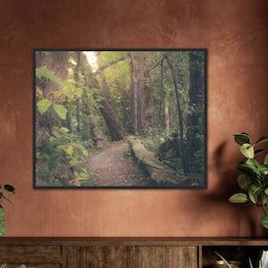 Forest Wall Art - Green Forest Photography Print - Spring Woodland Room Decor - Green Wall Art - Hiking Trail Print - Toronto, Ontario