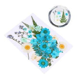 35 Pcs Mini Pressed Flower DIY Stickers Dried Flowers Material
