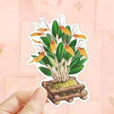 Orchids Sticker, Restrepia Antennifera Flower, Die Cut Sticker, Water Bottler Sticker, Laptop Decal, Vinyl Sticker, Flower Sticker