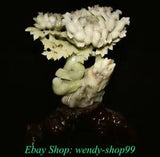 14" Chinese Natural Xiu Jade Carving Feng Shui Peony Flower Bird Base Statue