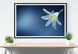 Beautiful White Lily Flower Photograph PREMIUM POSTER Choose your Size