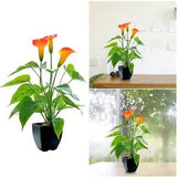 Simulation Plant Bonsai Simulation Flower Calla Lily Orange Suitable For Any