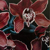 Original Oil Painting of Black Orchid Flower