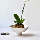 Kokedama Planter Japanese, White Planter With Kokedama Ball, Black Rim Planter, Moss Ball Holder, Handmade Pottery, Modern Kokedama Pot