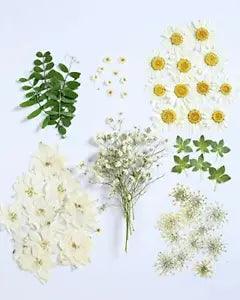 72 PCS Real Dried Pressed Flowers Leaf Plant Herbarium for Craft Jewelry Maki...