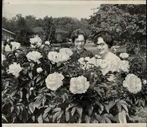 1966 Press Photo Ladies admire the peony flowers in the garden - lra84893