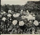 1966 Press Photo Ladies admire the peony flowers in the garden - lra84893