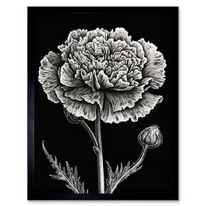 Black and White Linocut Carnation Flower Print Framed Wall Art Print 12x16