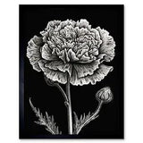 Black and White Linocut Carnation Flower Print Framed Wall Art Print 12x16