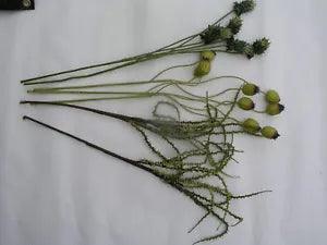 Faux Artificial Flower Stems, Lot B Poppy Thistle Seedpods
