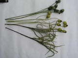 Faux Artificial Flower Stems, Lot B Poppy Thistle Seedpods