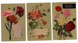 LOT OF 3 Floral rose geranium carnation gold background pink red yellow PCs