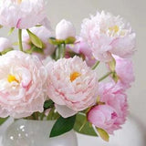1 bunch (6pcs) of  Silk Peony Bouquets in 2 colors , Artificial Flowers