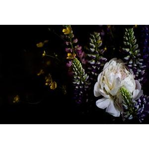 Evening Bouquet Print, Fine Art Photograph, Gift, Decoration, Wall Art, Floral Decor, Dark Flowers, Peony, Buttercups, Lupine, Spring Flower