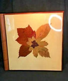 Fiorex Dried Flower Album with Wood Cover Made in Italy - Unused