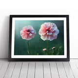 Beauteous Carnation Flowers Framed Wall Art Poster Print Picture Large