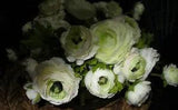 Pottery Barn faux flowers Peonies in open cylinder glass vase white photo sample