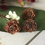 12 natural wooden flowers  Dried Decor  floral decorations