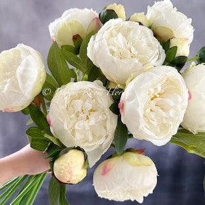 1 Real Touch Peony Stem | Extremely Realistic Luxury Quality Artificial Kitchen/Wedding/Home Decoration | Gifts French Floral Flowers White