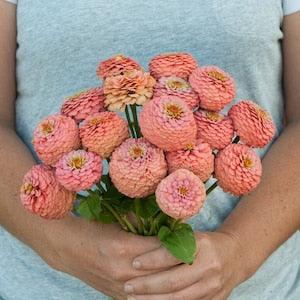 25 Salmon Oklahoma Zinnia Seeds / Zinnia Elegans /  Cut Flower / Cupcake Flower / English Garden / Wildflowers / Cottage / Bouquet Flowers