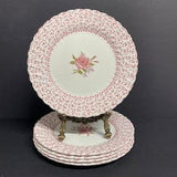 Vintage Johnsons Bros Rose Bouquet breakfast / lunch plates in pink / white rose in the cup hand engraved set of 5 made in England 8 3/4???