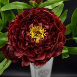 Burgundy peony, peonies are from polymer clay ,handmade bouquet, peonies bouque,t bridal bouquet, housewarming gift, flowers arrangement