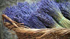 Lavendel trocknen: Drei Fehler beim Trocknen von Lavendel vermeiden Flower Delivery