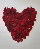 Bright Red Dried Rose Petals Six Cups for  Crafts, Weddings, Free Ship