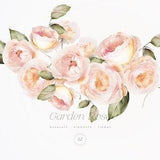 Watercolor Rose Clipart - Garden Roses - Roses Clipart - Wedding Clipart - Roses - Garden Clipart - Premade Roses Bouquets - Watercolor Art