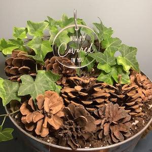 Taylor Swift Plant Marker, Ivy lyrics
