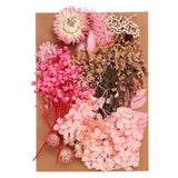 Natural Dried Flowers Multiple Real Dried Pressed Flowers Plant Pink Series