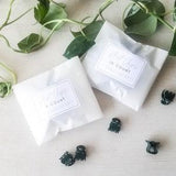 Mini Plant Clips | Orchid Clips | Vining Plant Supports | Stem Support | Trellis Clips