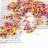 140pcs Real Dried Flowers For Art Craft Epoxy Resin Jewellery Candle Making H4N4