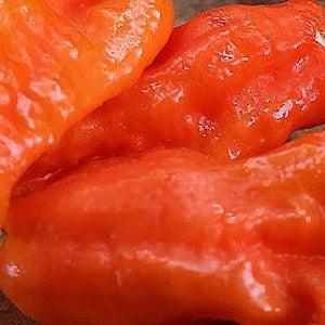 20 Seeds-Ghost Pepper Seeds-Non GMO-Naga Jolokia-Ghost Chili-Cobra Chili-Capsinum Chinense-Z028-Bhut Jolkia