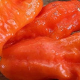 20 Seeds-Ghost Pepper Seeds-Non GMO-Naga Jolokia-Ghost Chili-Cobra Chili-Capsinum Chinense-Z028-Bhut Jolkia