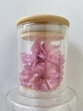 Physically Dried Cherry Blossom