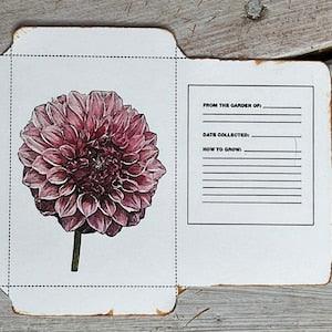 200 Dahlia seeds "APPALACHAIN MAGIC" mix - Bluestone Botanicals