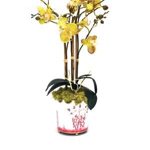 Faux Orchid Arrangement White, Real Touch Orchid, Faux Orchids, Centerpiece , Chinoiserie Cachet Pot, Table Orchid, Centerpiece