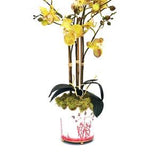Faux Orchid Arrangement White, Real Touch Orchid, Faux Orchids, Centerpiece , Chinoiserie Cachet Pot, Table Orchid, Centerpiece